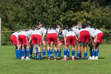 Bild 36 - wBJ VfL Pinneberg - Hamburger SV 2 : Ergebnis: 1:3